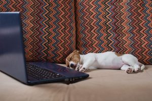 Laptop Lenovo ThinkPad P1 Gen 5 przeznaczony jest pracy biurowej. Wszystkie modele z serii ThinkPad to sprawdzone i godne polecenia laptopy, które zebrały rzeszę wiernych klientów dzięki swojej długiej obecności na rynku